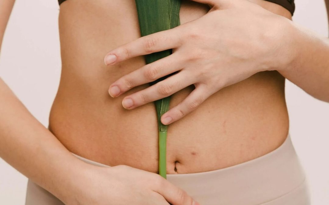 SIBO vs. IBS: Understanding the Difference and How Natural Medicine Can Help