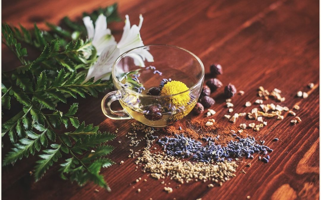 Adaptogens for Stress: How Herbal Medicine Supports Your Body’s Stress Response