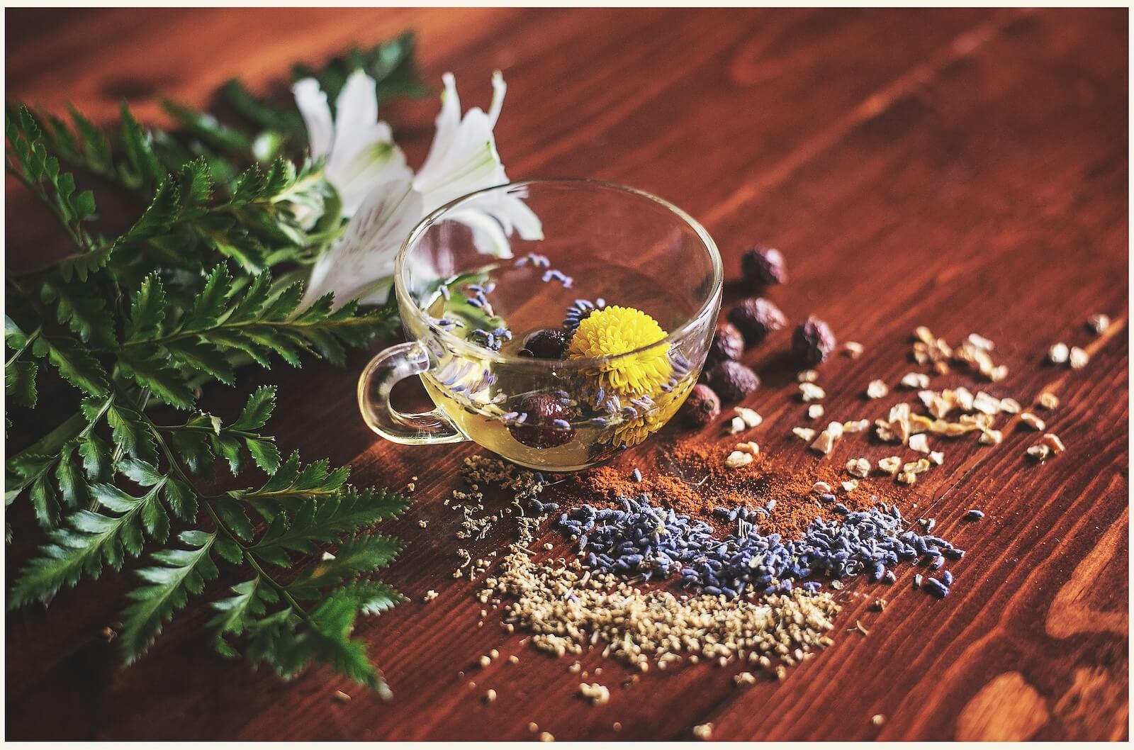 herbal medicine support