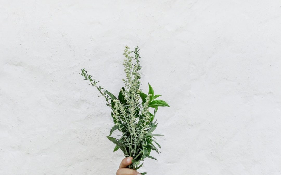 What is Naturopathic Medicine?