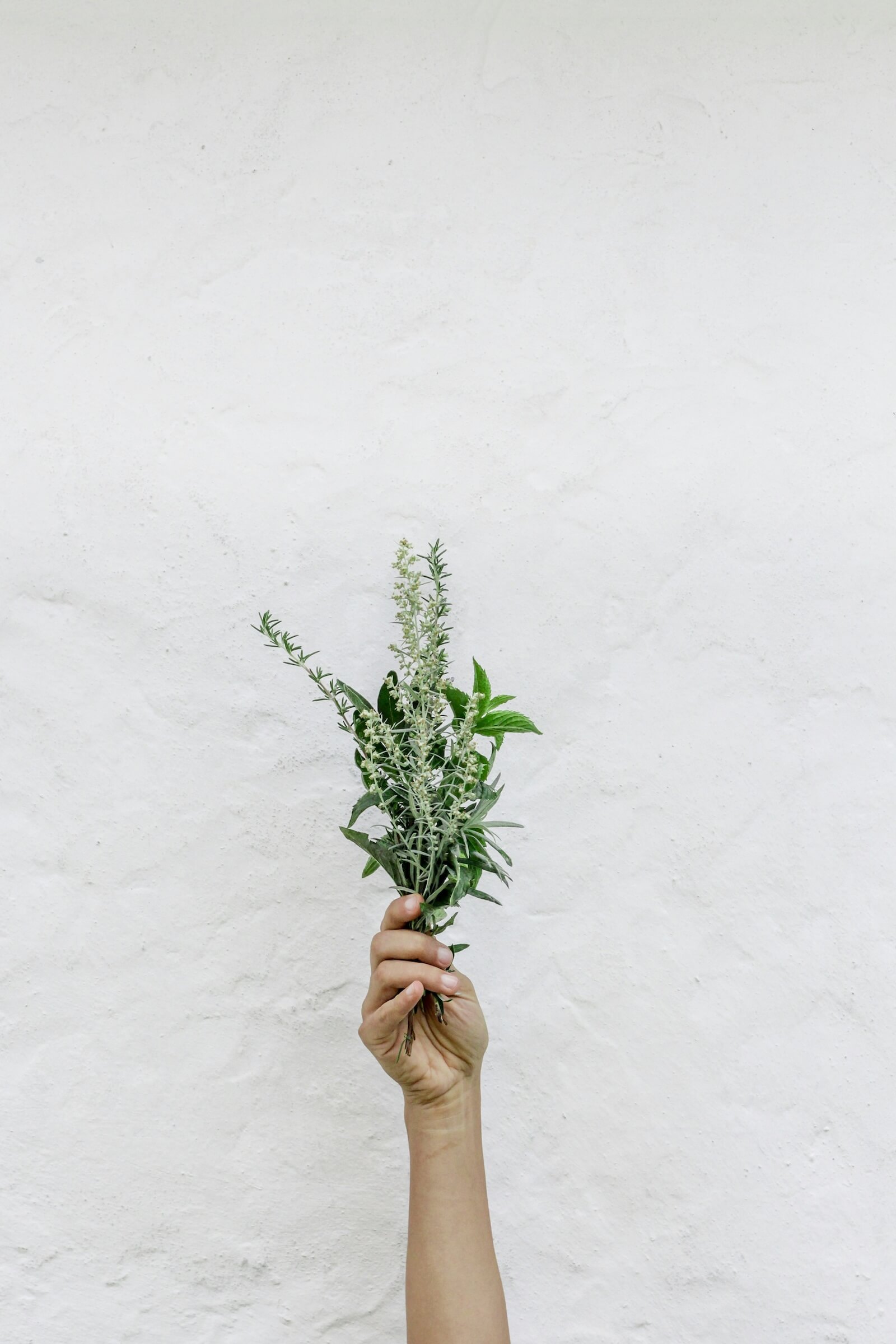 naturopathic services