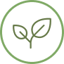 naturopathic medicine icon