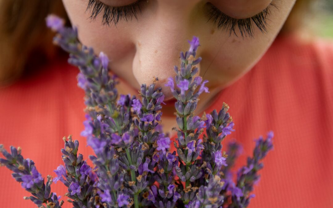 Why Allergy Season Feels Worse Every Year and What You Can Actually Do About It